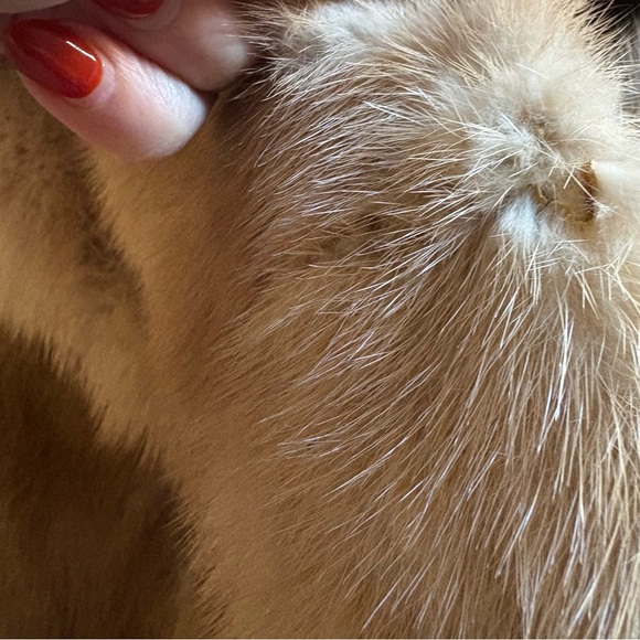 Vintage Luxury 1950's Custom- Made Blonde Mink Coat/ Jacket - Picture 2 of 12